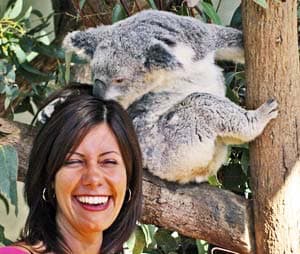 Koala and visitor to Taronga zoo